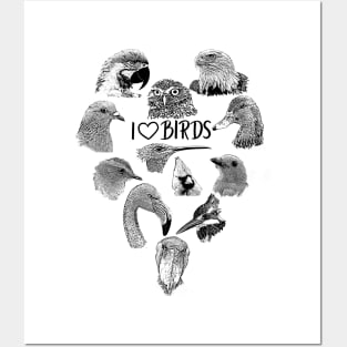 Birding - I love Birds Posters and Art